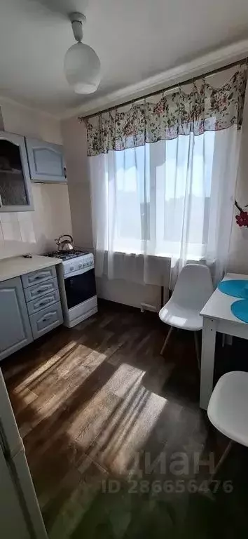 1-к кв. Калининградская область, Калининград Мариупольская ул., 8 ... - Фото 2