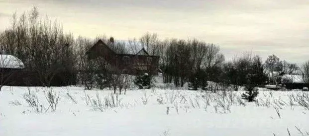 Участок в Московская область, Коломна городской округ, с. Пестриково  ... - Фото 1