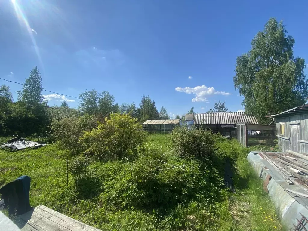 Участок в Санкт-Петербург, Санкт-Петербург, Павловск Контакт СНТ, ул. ... - Фото 1