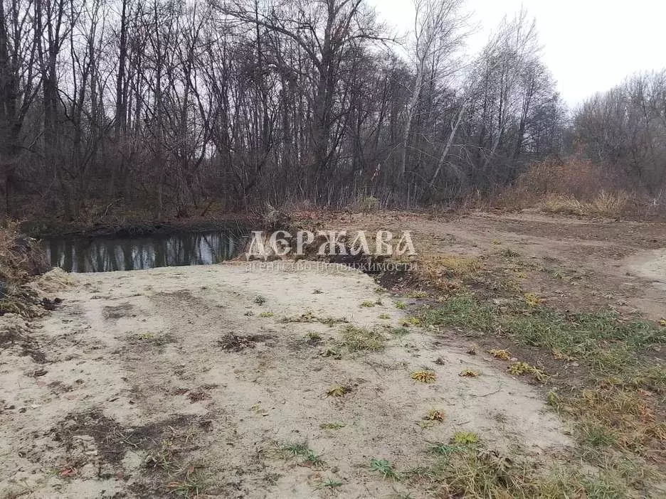 Участок в Белгородская область, Старооскольский городской округ, с. ... - Фото 0