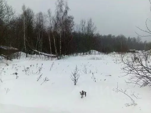 Участок в Московская область, Чехов муниципальный округ, д. Беляево  ... - Фото 1