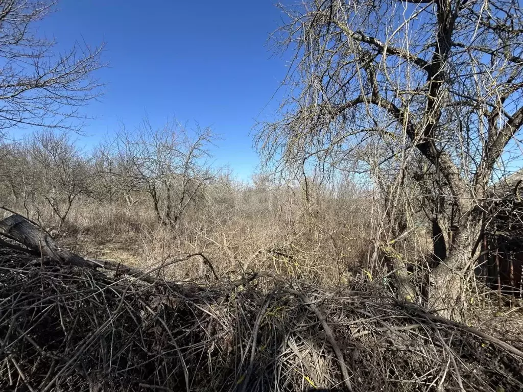 Дом в Белгородская область, Белгородский район, Беломестненское с/пос, ... - Фото 1