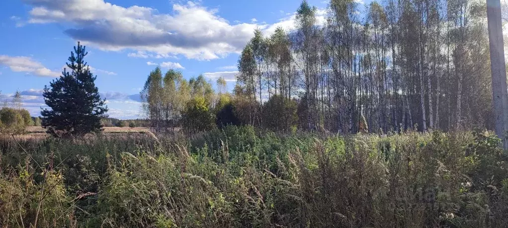 Участок в Владимирская область, Киржачский муниципальный округ, д. ... - Фото 2