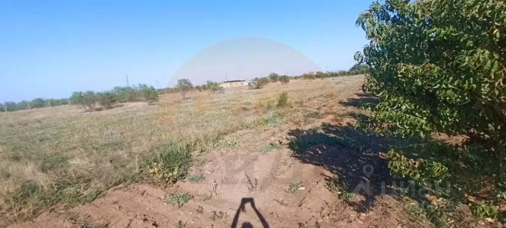 Участок в Крым, Сакский район, Лесновское с/пос, с. Владимировка ул. ... - Фото 0