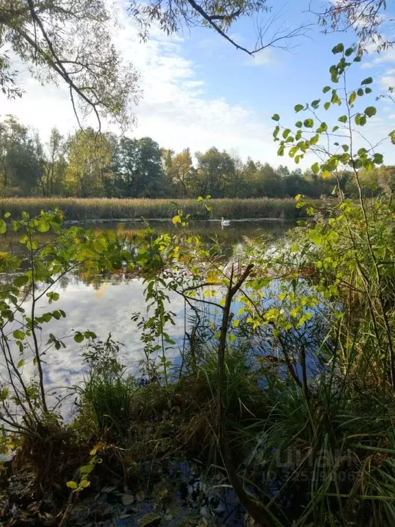 Участок в Краснодарский край, Щербиновский район, Екатериновское ... - Фото 1