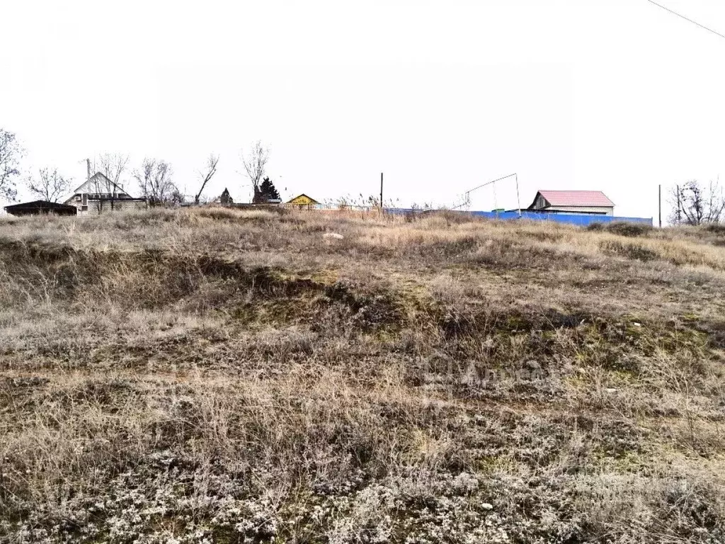 Участок в Волгоградская область, Городищенский район, Паньшинское ... - Фото 2