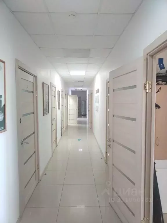 Помещение свободного назначения в Ставропольский край, Ставрополь ул. ... - Фото 2