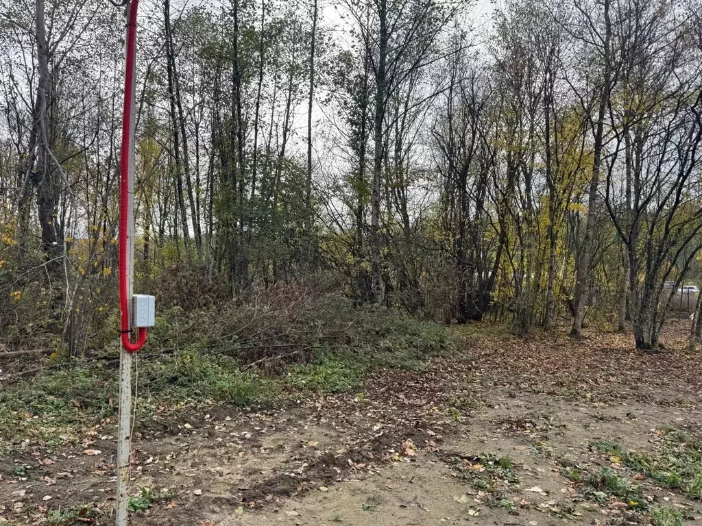 Участок в Краснодарский край, Белореченский район, Пшехское с/пос  ... - Фото 1