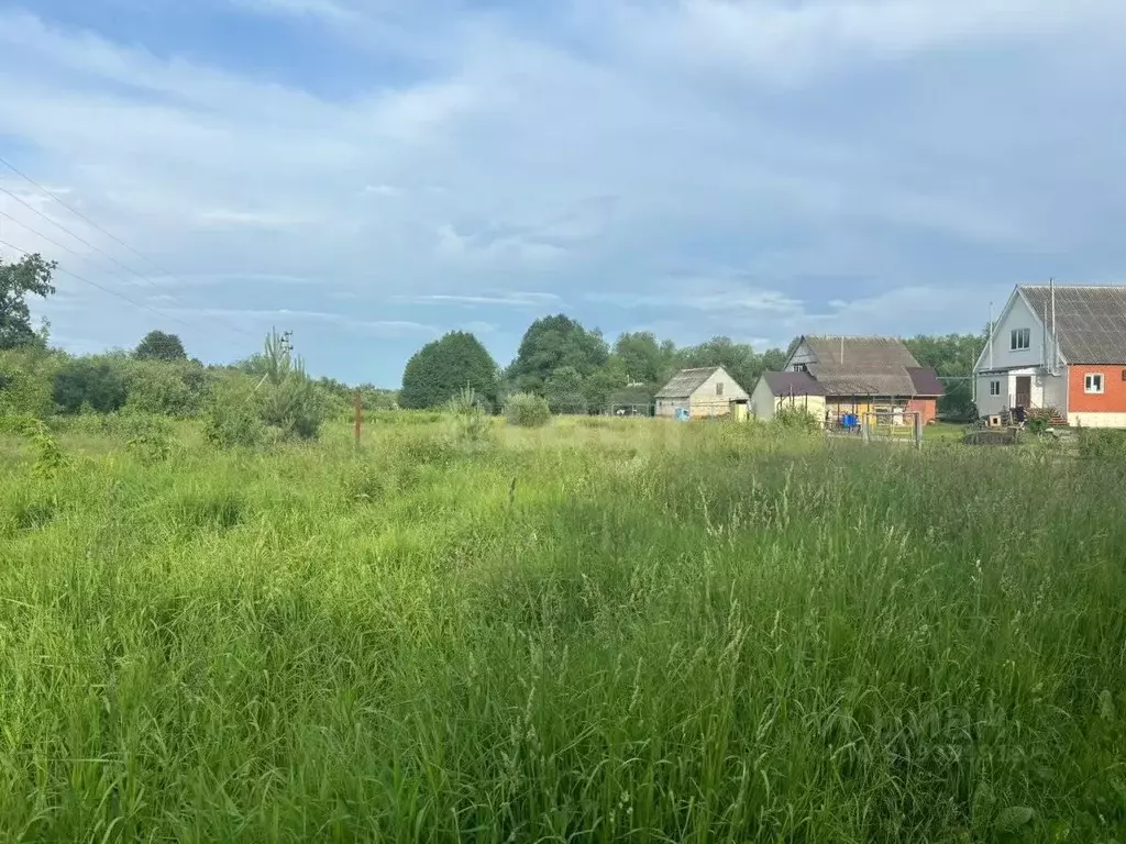 Участок в Мордовия, Саранск городской округ, с. Грибоедово ул. ... - Фото 1