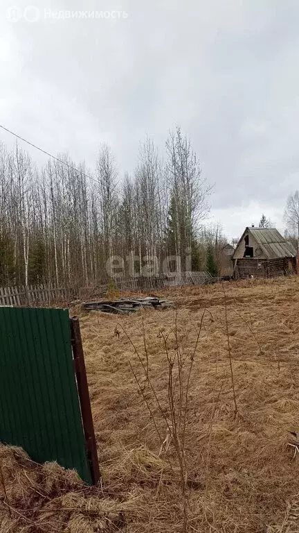 Участок в село Выльгорт, садоводческое товарищество Клён (10 м) - Фото 1