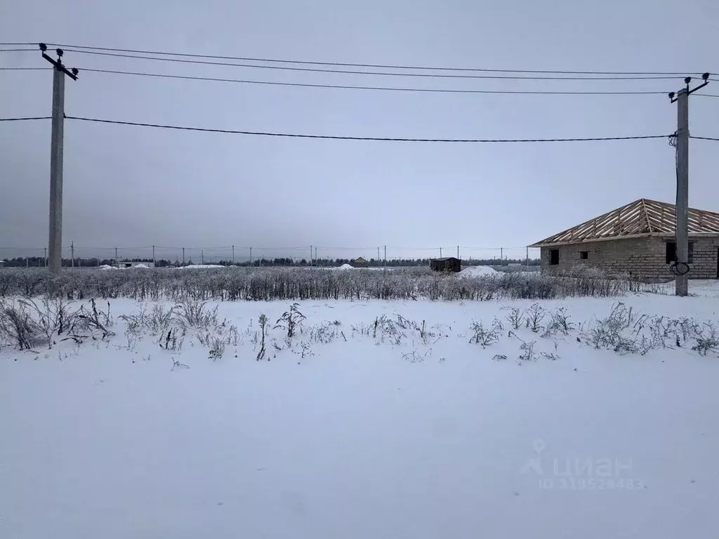 Участок в Оренбургская область, Оренбургский район, Нежинский ... - Фото 2