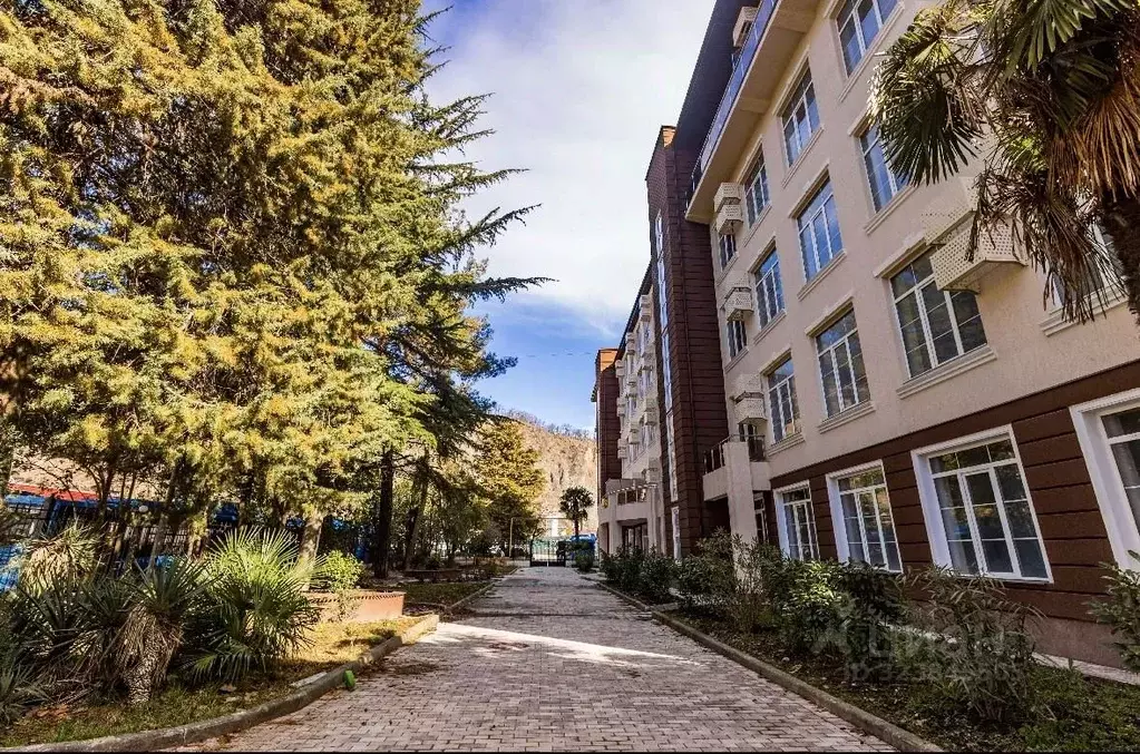 1-к кв. Краснодарский край, Сочи Краснодонская ул., 57 (27.0 м) - Фото 1