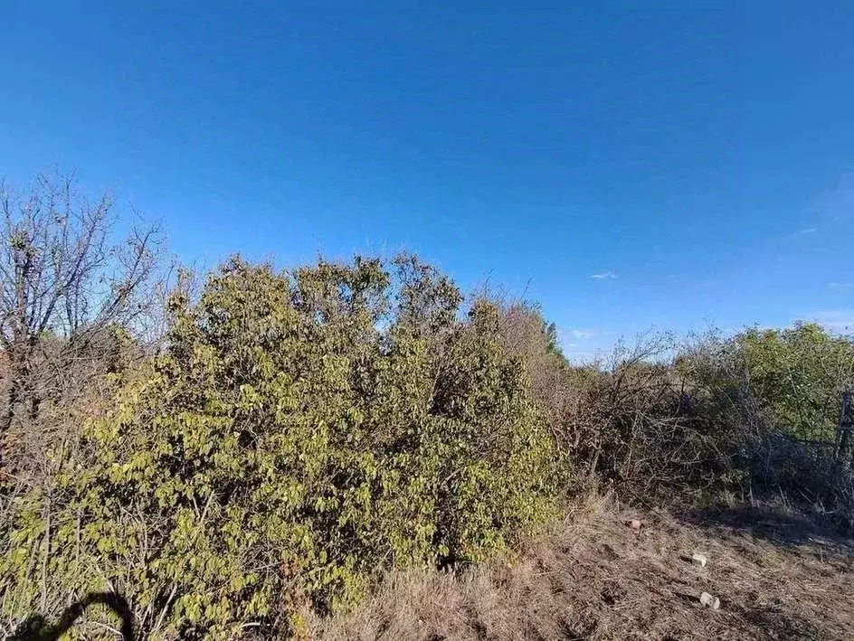 Участок в Астраханская область, Астрахань 1-й проезд (6.0 сот.) - Фото 1