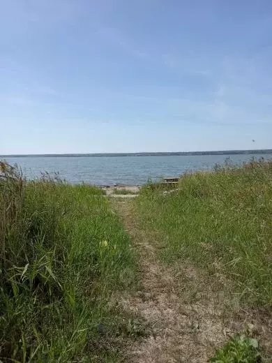 Участок в Челябинская область, Аргаяшский муниципальный округ, Райский ... - Фото 2