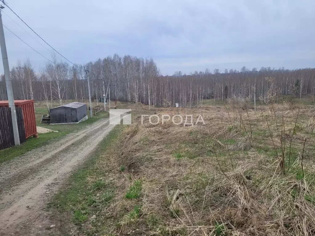 Участок в Новосибирская область, Новосибирский район, Станционный ... - Фото 0
