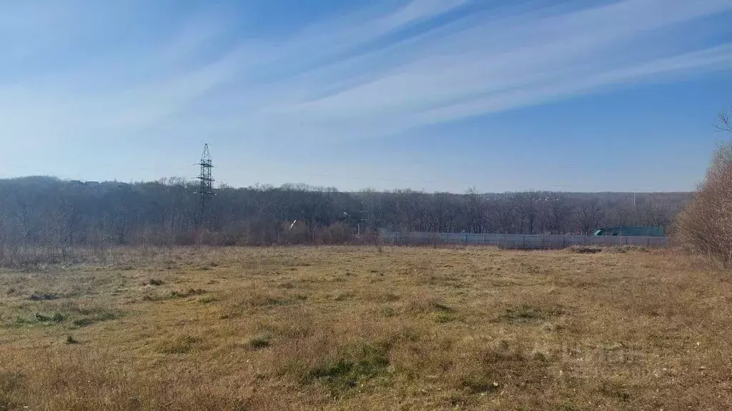 Участок в Хабаровский край, Хабаровский район, Осиновореченское с/пос, ... - Фото 1