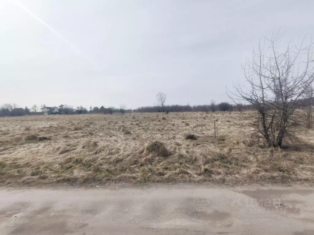 Участок в Калининградская область, Гурьевский муниципальный округ, ... - Фото 2