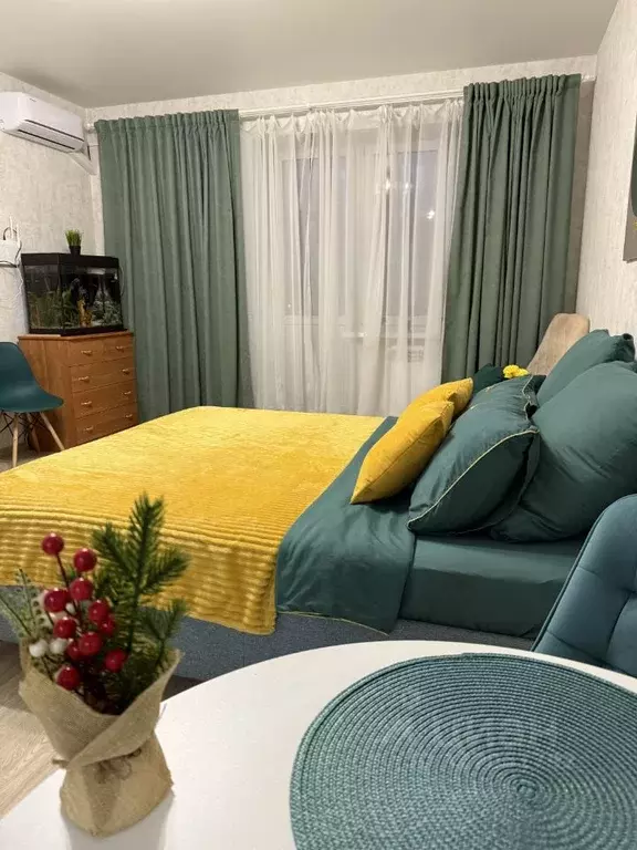 Студия Московская область, Ногинск Богородский городской округ, ул. ... - Фото 2