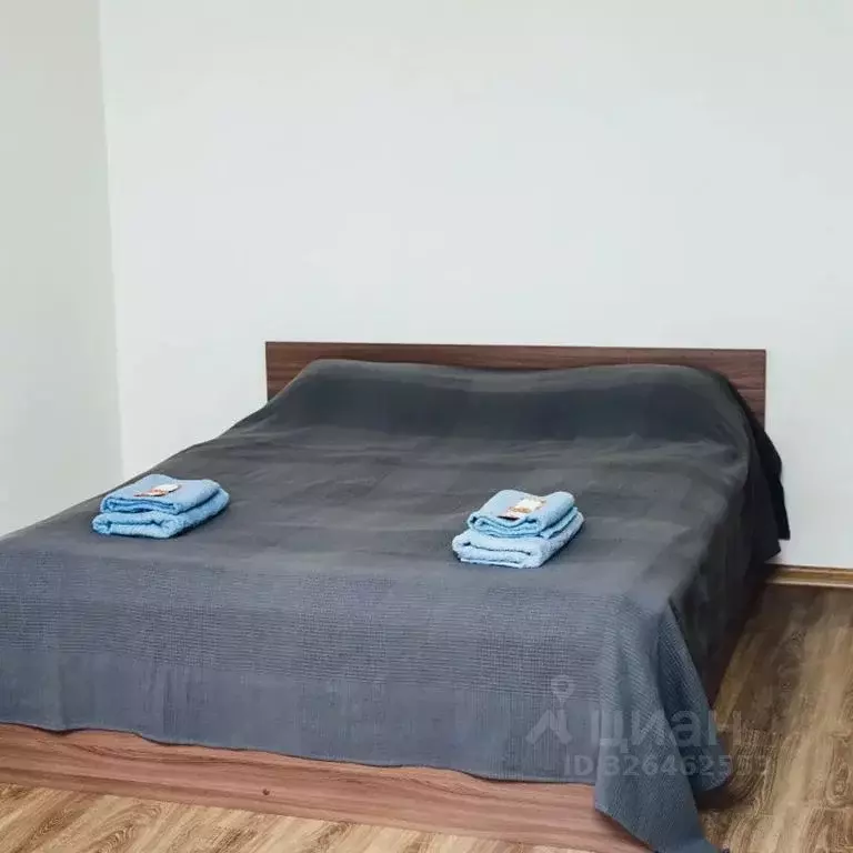 1-к кв. Карелия, Петрозаводск ул. Анохина, 45 (30.0 м) - Фото 1