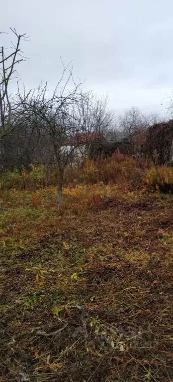 Дом в Тамбовская область, Тамбов Ромашка СНТ, 6 (15 м) - Фото 2