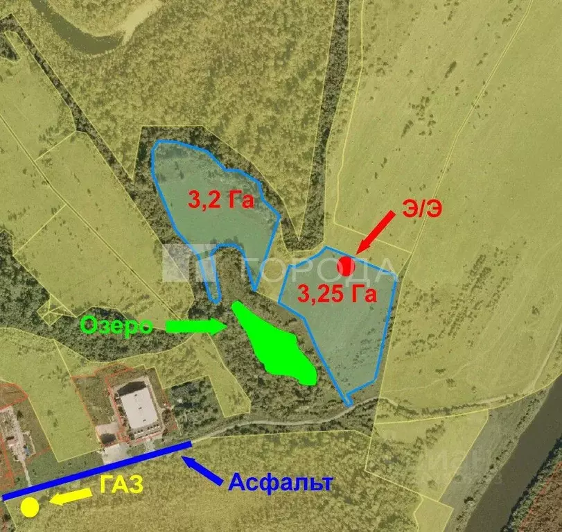 Участок в Томская область, Томский район, д. Борики  (645.01 сот.) - Фото 2
