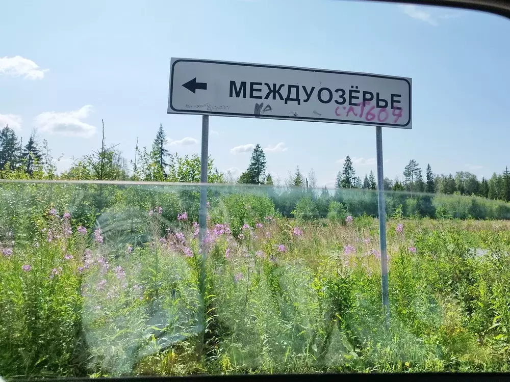 Продается участок в СНТ Междуозерье - Фото 2