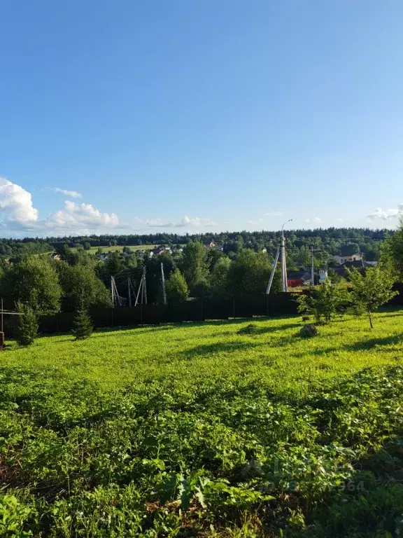 Участок в Московская область, Химки городской округ, д. Подолино, ... - Фото 1
