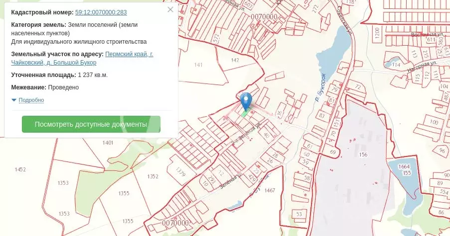 Участок в Пермский край, Чайковский городской округ, с. Большой Букор ... - Фото 1