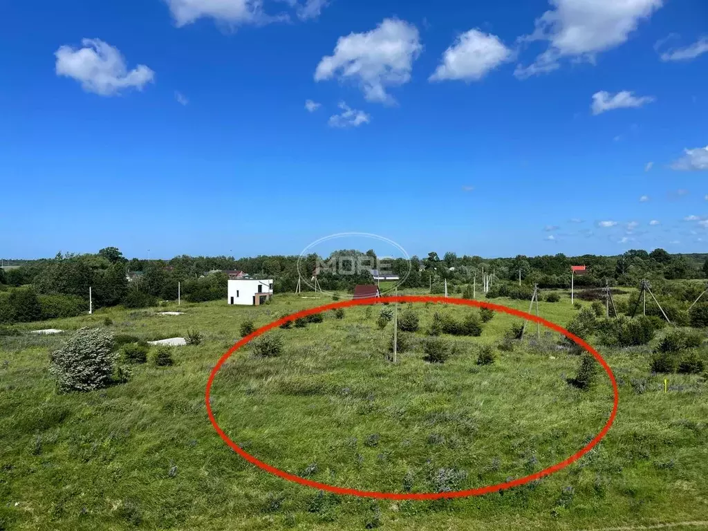 Участок в Калининградская область, Гурьевский муниципальный округ, ... - Фото 1