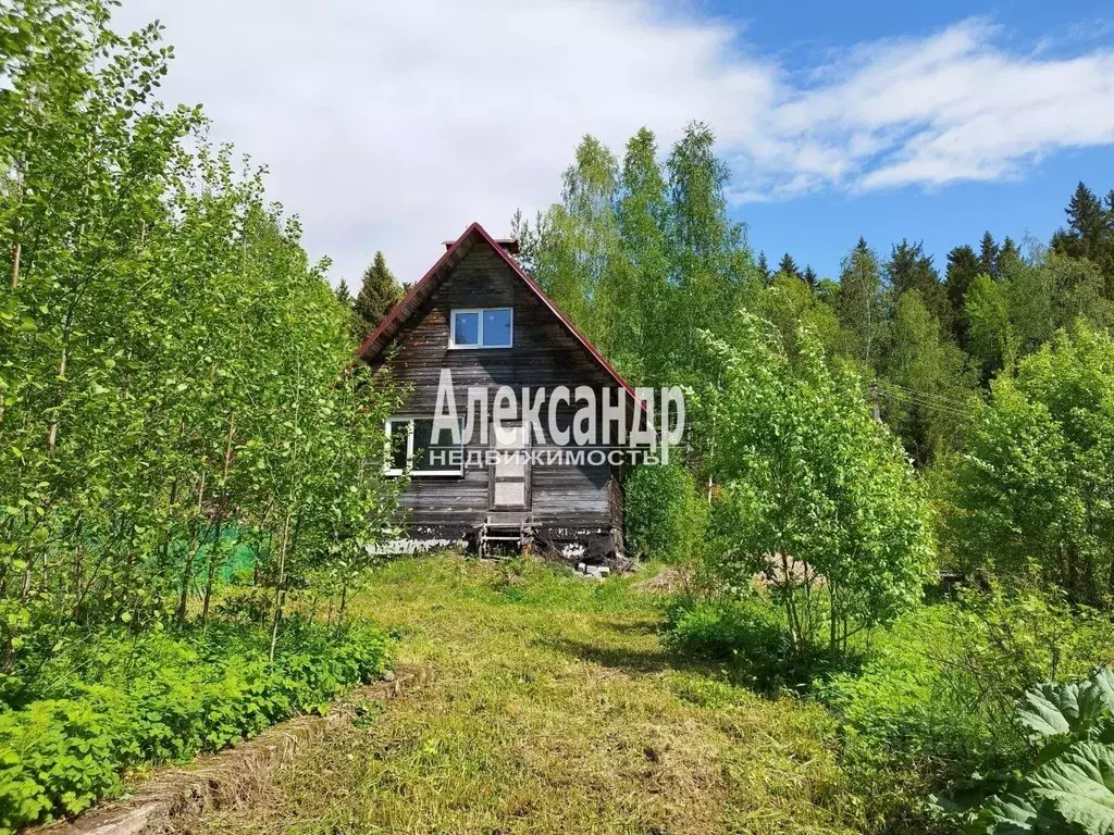 Участок в Ленинградская область, Выборг Ручьи СНТ, ул. Звонкий Ручей ... - Фото 1