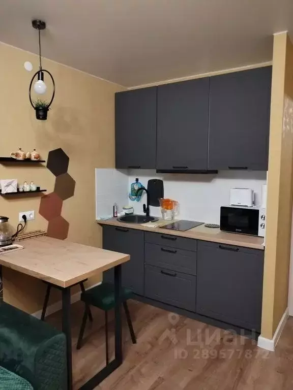 Студия Удмуртия, Сарапул Амурская ул., 79 (25.0 м) - Фото 1