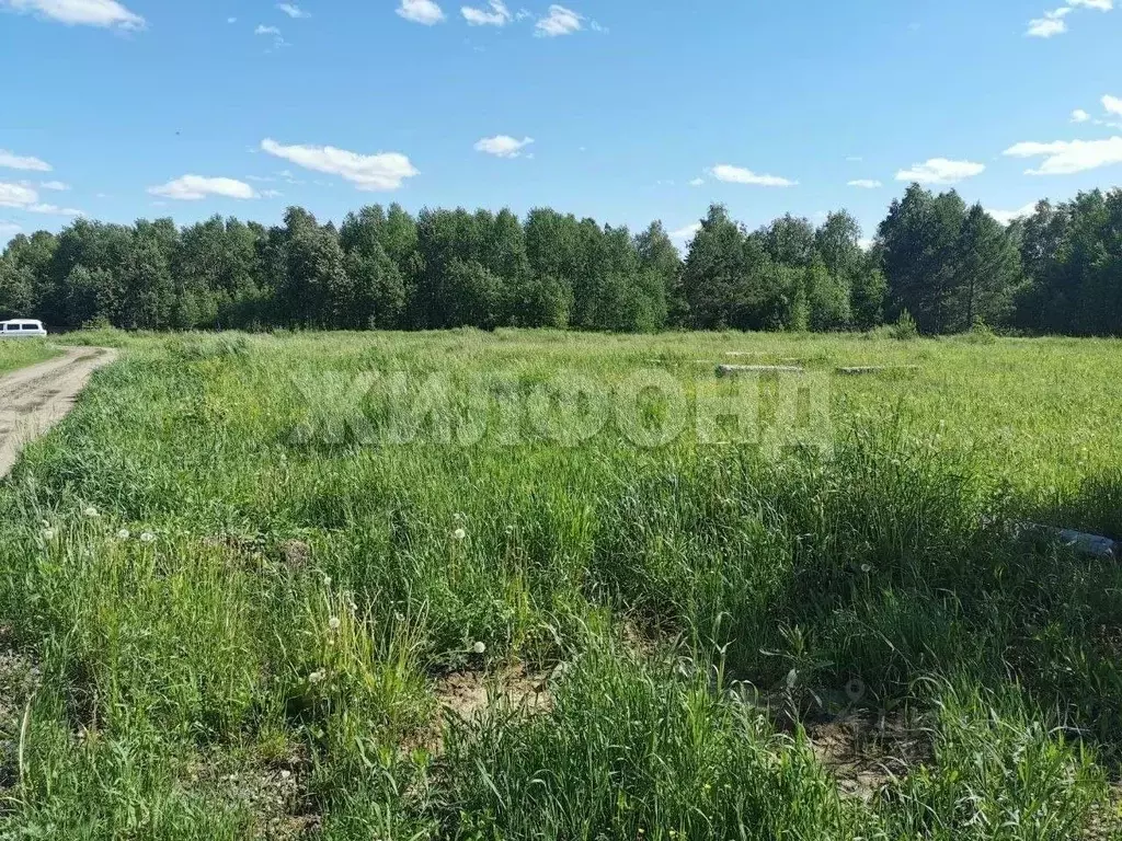 Участок в Томская область, Томский район, с. Кафтанчиково ул. ... - Фото 1