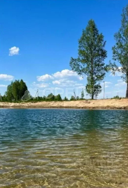Участок в Тюменская область, Тюменский муниципальный округ Салаирский ... - Фото 2