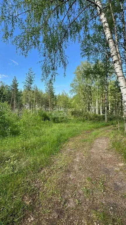Участок в Нижегородская область, Бор ул. Кольцова (10.0 сот.) - Фото 1