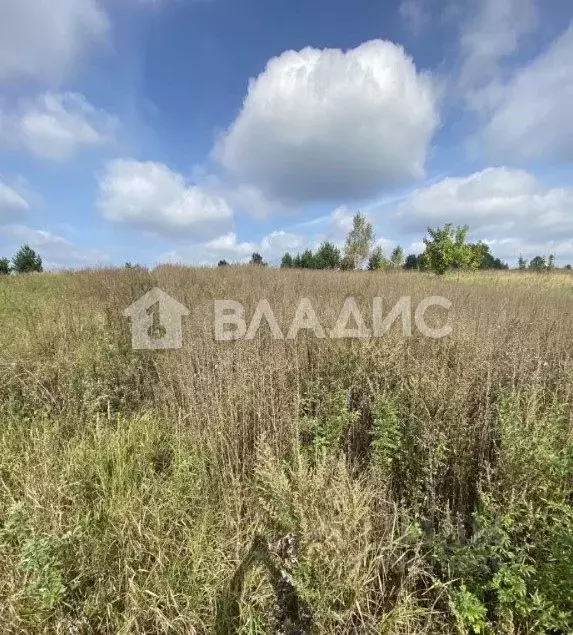 участок в московская область, наро-фоминский городской округ, новое . - Фото 1