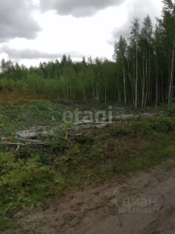 Участок в Ханты-Мансийский АО, Ханты-Мансийск Здоровье СОТ,  (960.0 ... - Фото 1