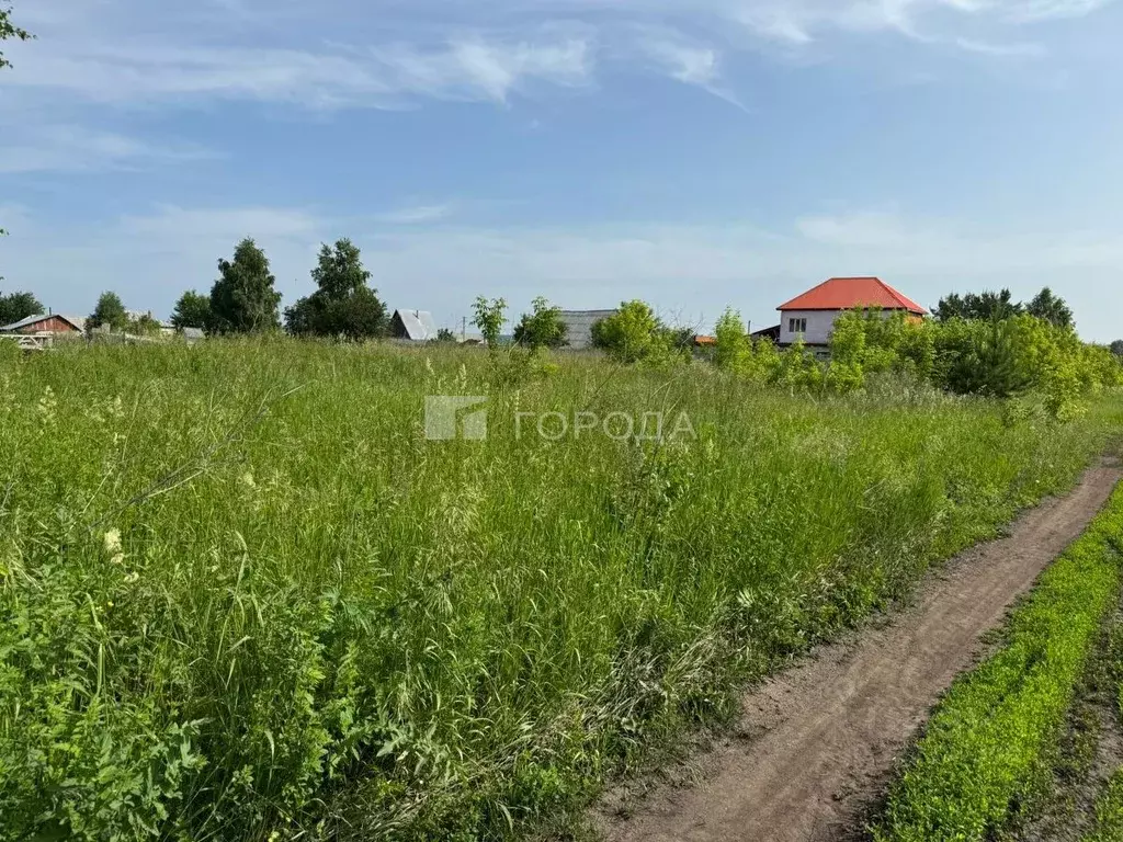 Участок в Новосибирская область, Искитимский район, Мичуринский ... - Фото 1