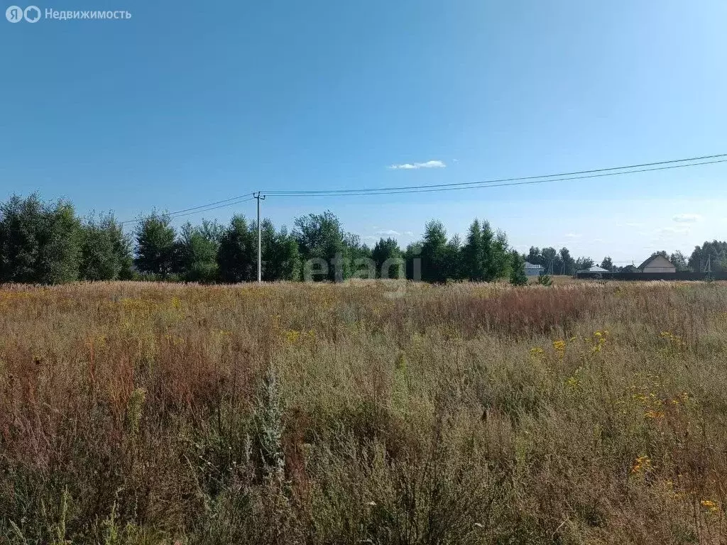 Участок в Московская область, Раменский муниципальный округ, деревня ... - Фото 1