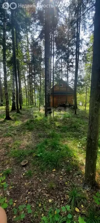 Дом в Караидельский район, Урюш-Битуллинский сельсовет, ДНТ Родничок ... - Фото 2