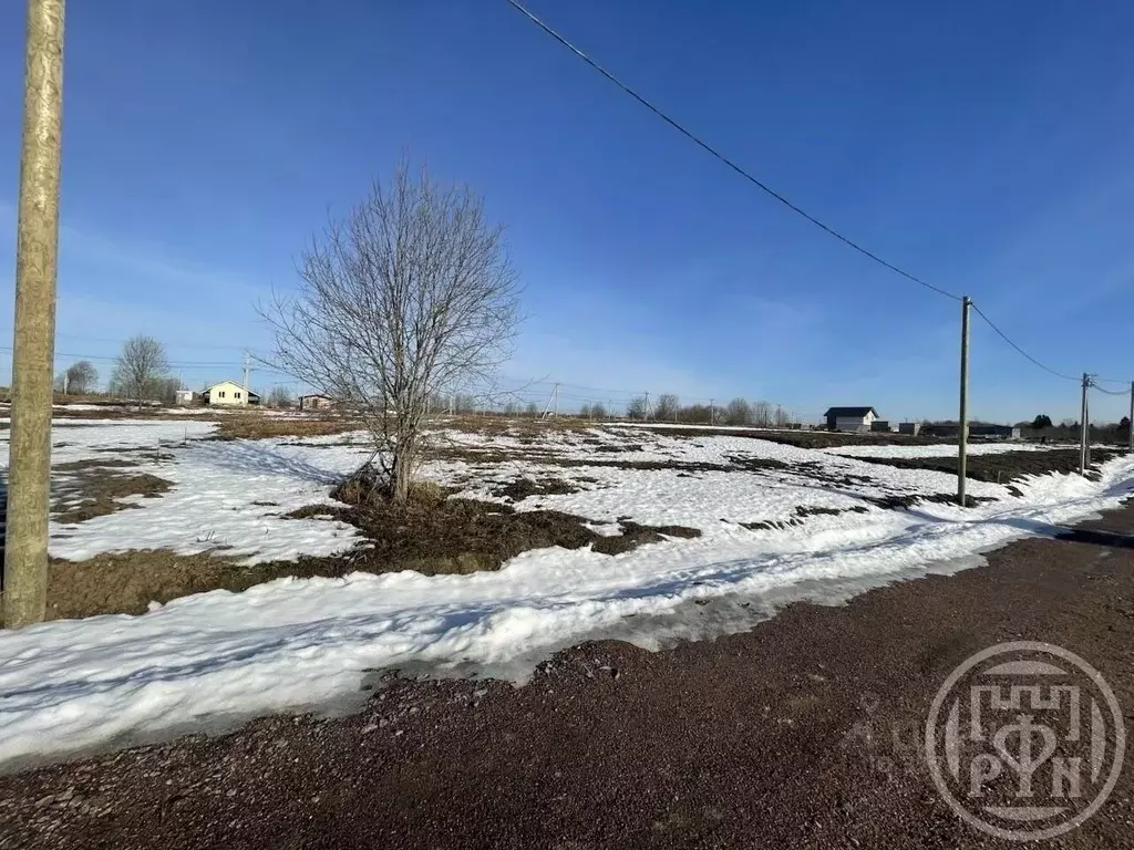 Участок в Ленинградская область, Ломоносовский район, Гостилицкое ... - Фото 2