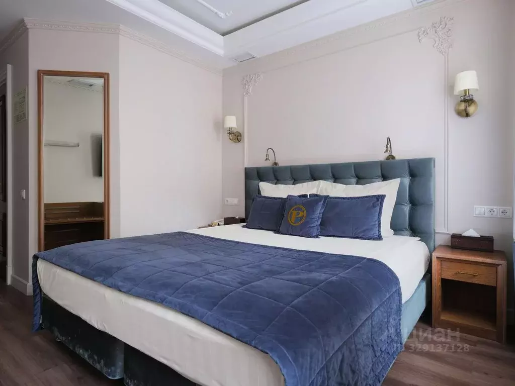 Комната Санкт-Петербург Кузнечный пер., 14б (20.0 м) - Фото 2