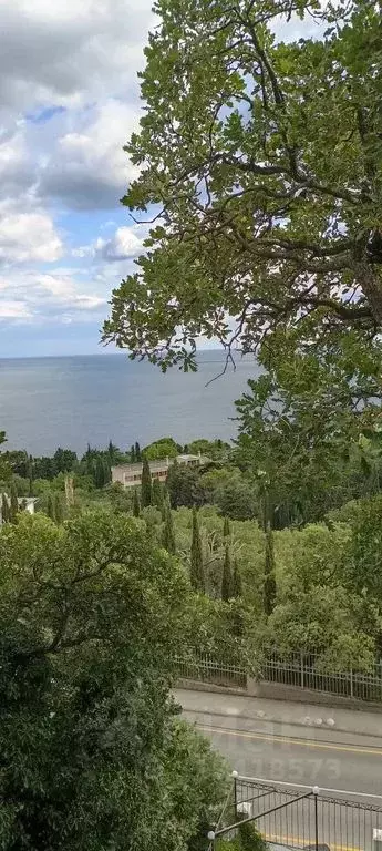 Студия Крым, Ялта муниципальный округ, Кореиз пгт ш. Алупкинское, 58 ... - Фото 0
