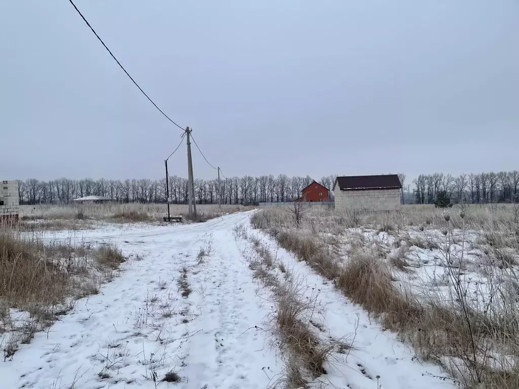 Участок в Курская область, Курский район, Клюквинский сельсовет, д. ... - Фото 0