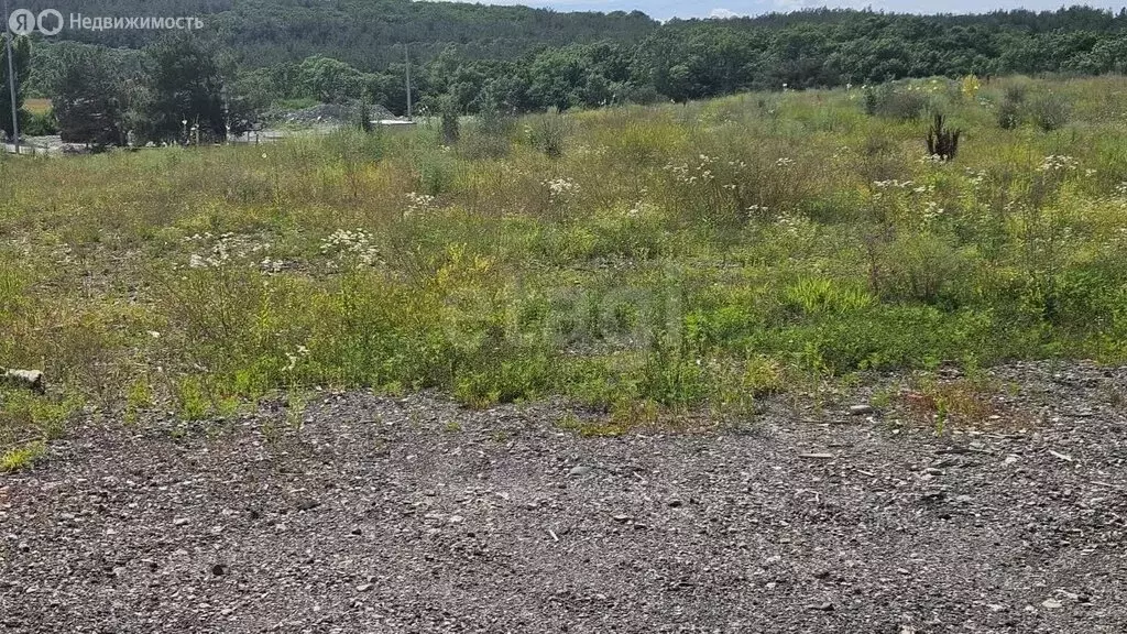 Участок в Краснодарский край, городской округ Геленджик, село ... - Фото 0
