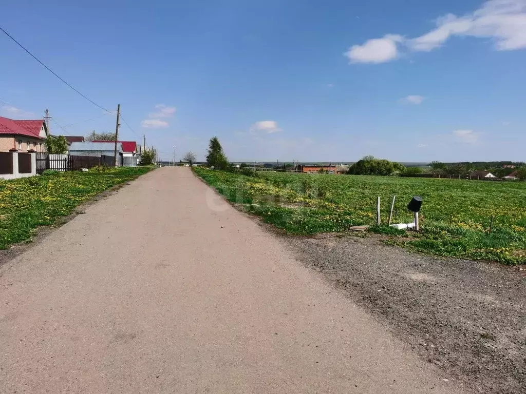Участок в Мордовия, Рузаевский район, с. Сузгарье Центральная ул., 1А ... - Фото 1