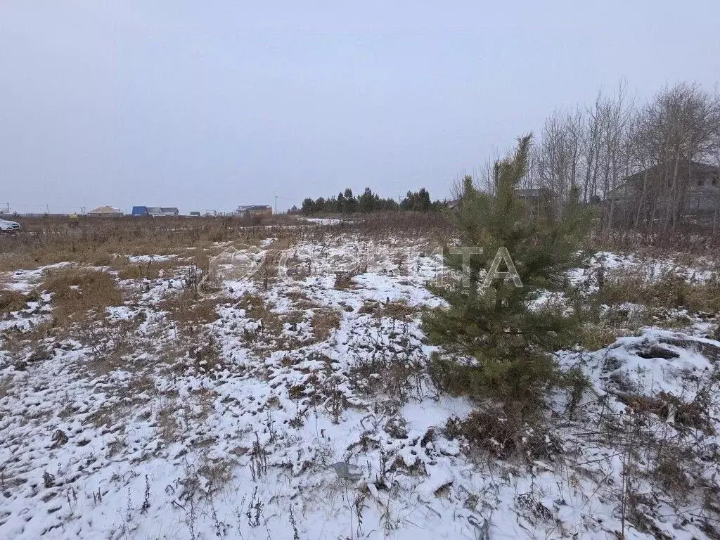 Участок в Тюменская область, Тюмень Ирбитский Тракт 3-й км от ... - Фото 1