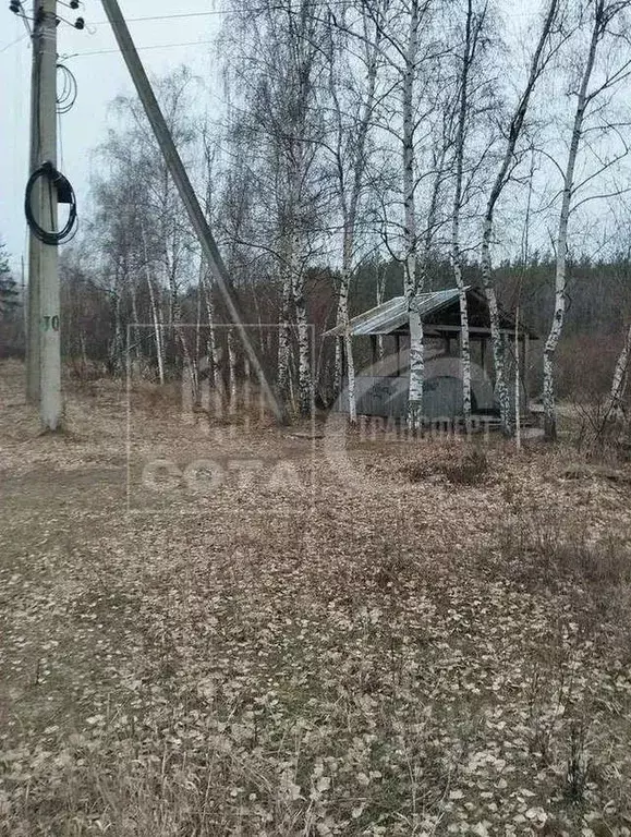 Участок в Воронежская область, с. Новая Усмань ул. Подлесная, 42 (6.0 ... - Фото 0