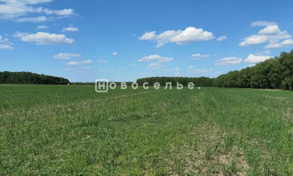 Участок в Рязанская область, Кораблинский муниципальный округ, ... - Фото 1