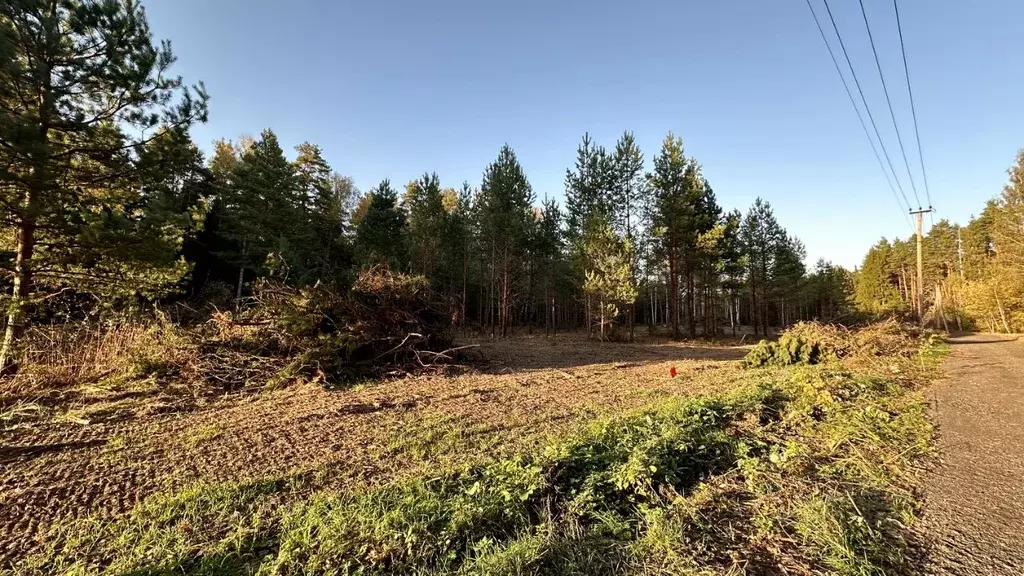 Участок в Московская область, Ступино городской округ, Сосны Лайф кп  ... - Фото 2