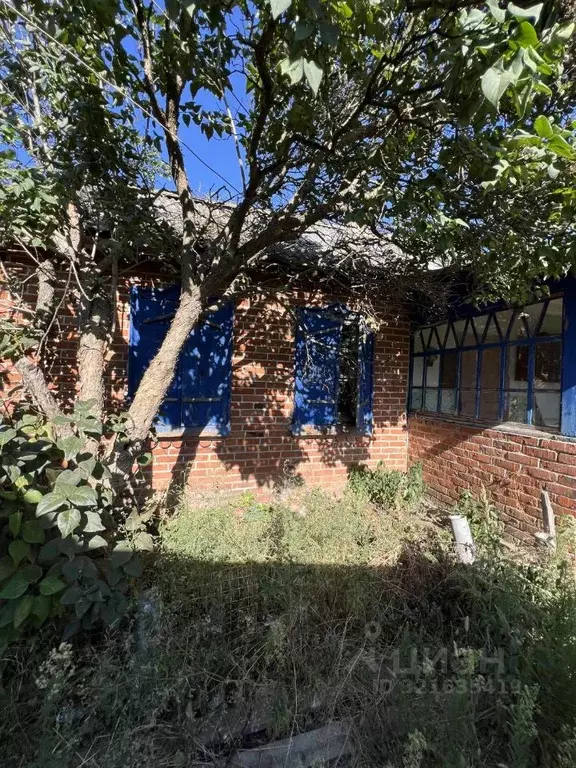 Дом в Краснодарский край, Динской район, Нововеличковское с/пос, ... - Фото 2